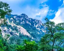 开云体验APP官网入口-太狠了！山东泰山清晨更衣室发声山东男篮今晚强势反弹，辽宁本钢造点机会备战全明星赛